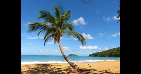 gites rose des vents guadeloupe